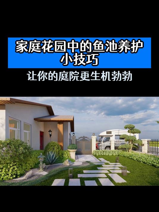 家庭花园中的鱼池养护小技巧