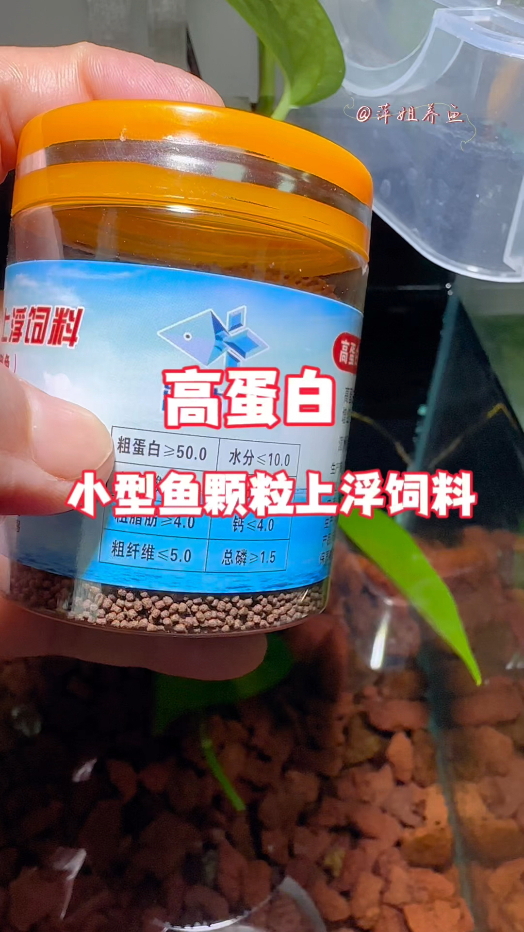 此款鱼粮蛋白质含量高达50%以及多种微量元素,有助鱼儿生长颜色更艳90%以上的小鱼适用