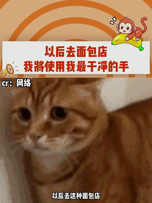 以后去面包店我将使用我最干净的手