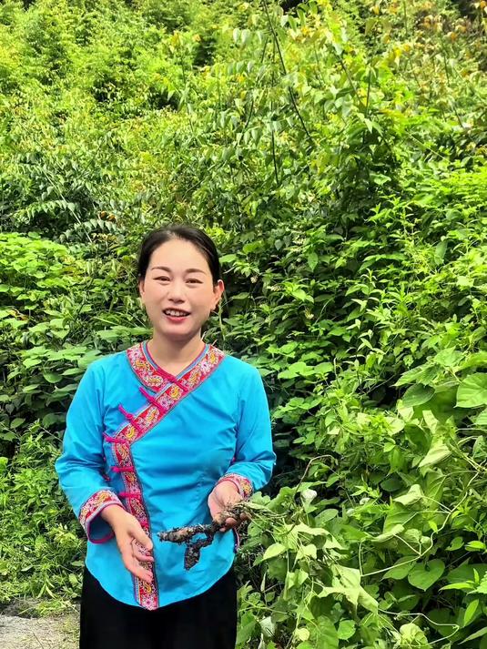 隔山消又名白人参,隔山撬,味甘、微苦,性平,长得似红薯