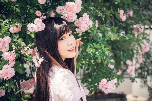Blooming rose-六色网