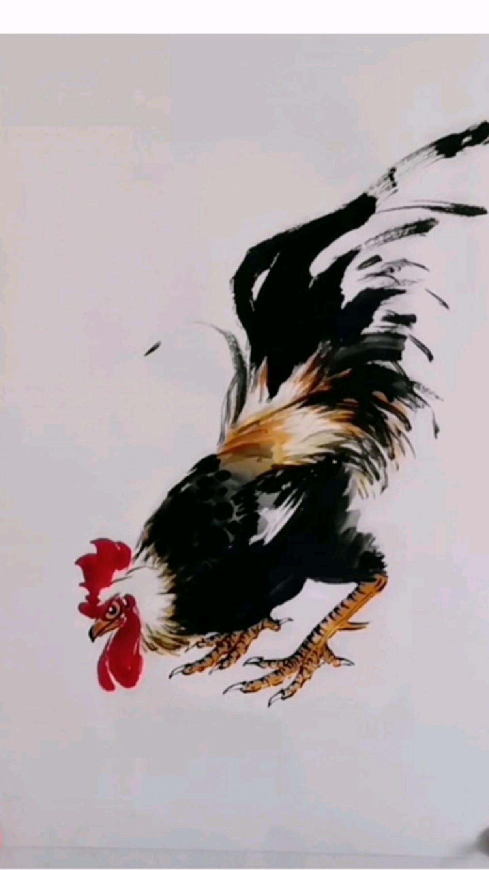 王兴民国画公鸡:一起画公鸡