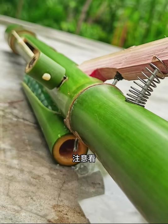 把竹子玩出新花样