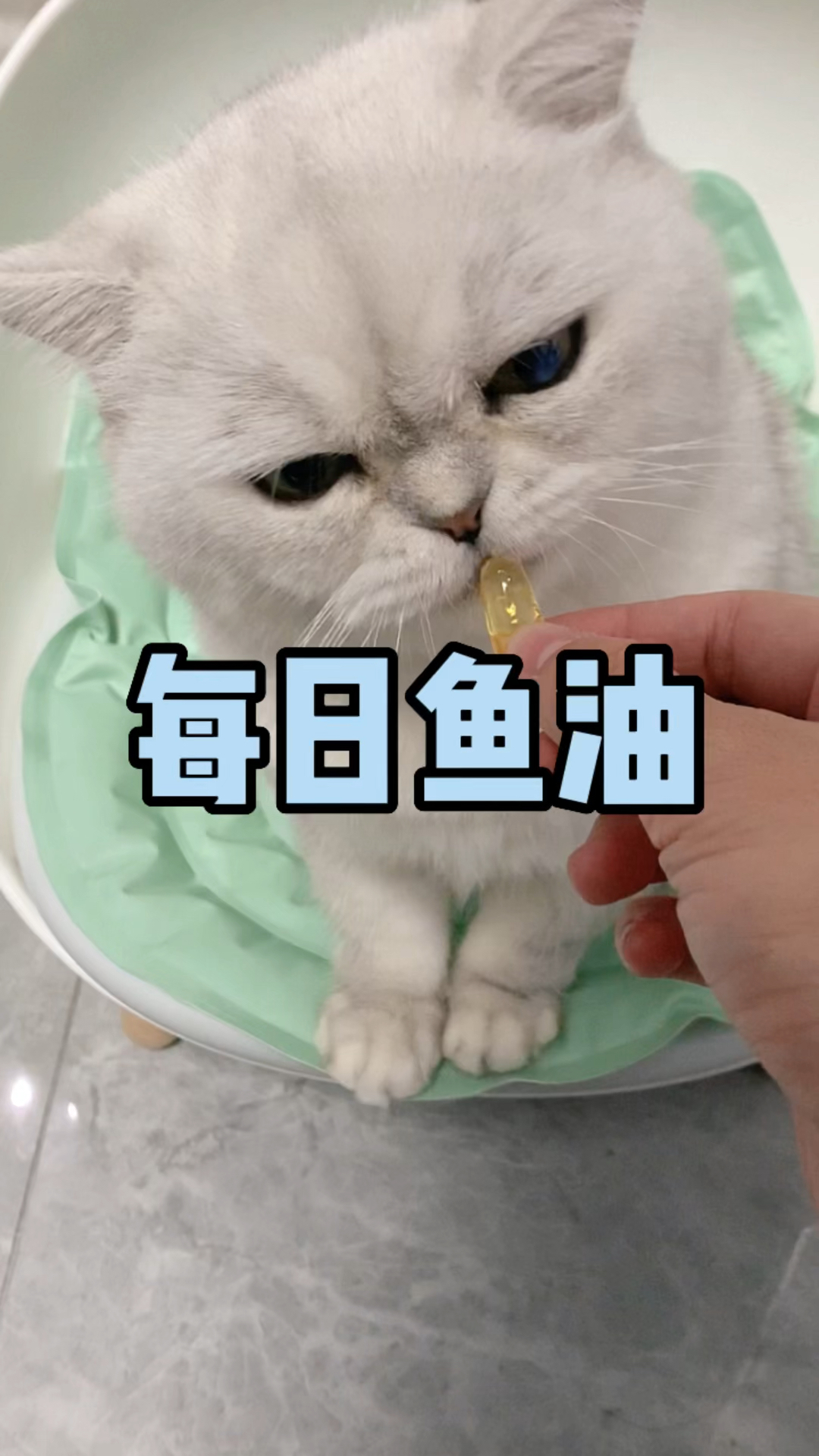 猫咪想美毛?可以试试这个鱼油!