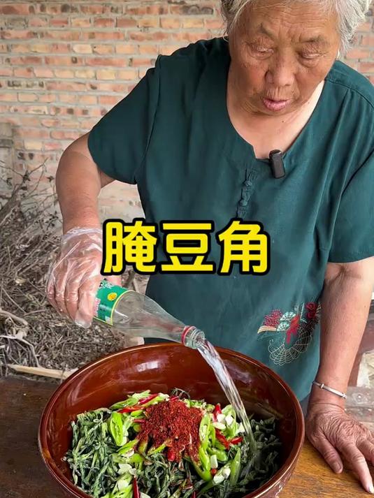 豆角不知道怎么吃?试试俺奶这个方法做成腌菜,给肉都不换