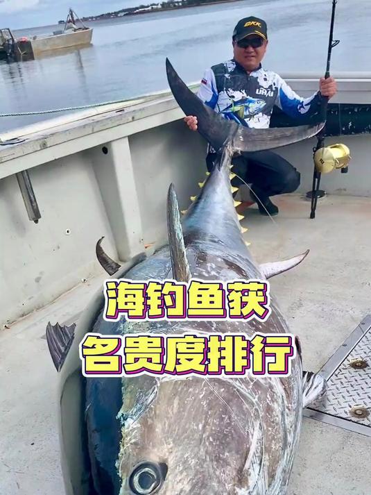 海钓鱼获名贵度排行!有的鱼比黄金还贵!