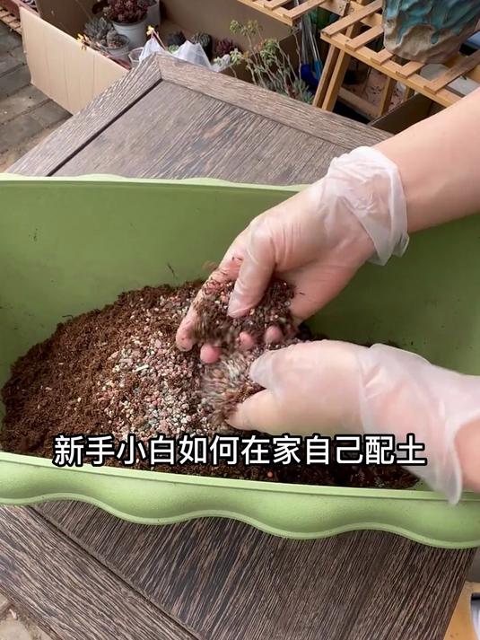 教给你们自己配土的方法,可以根据自己的植物配不同比例的土
