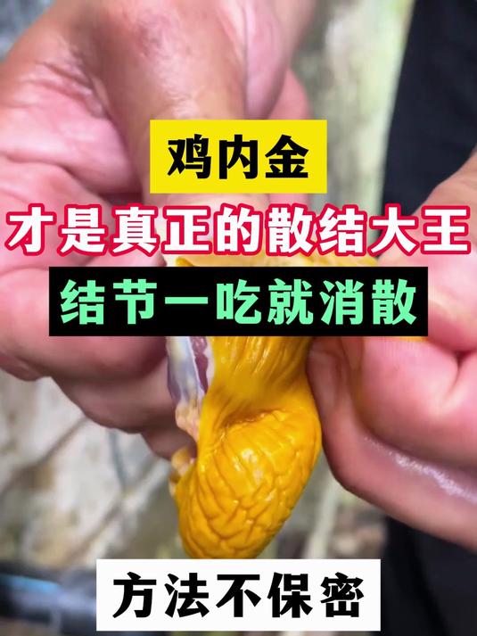 鸡内金才是真正的散结大王,方法不保密,成本不过几块钱