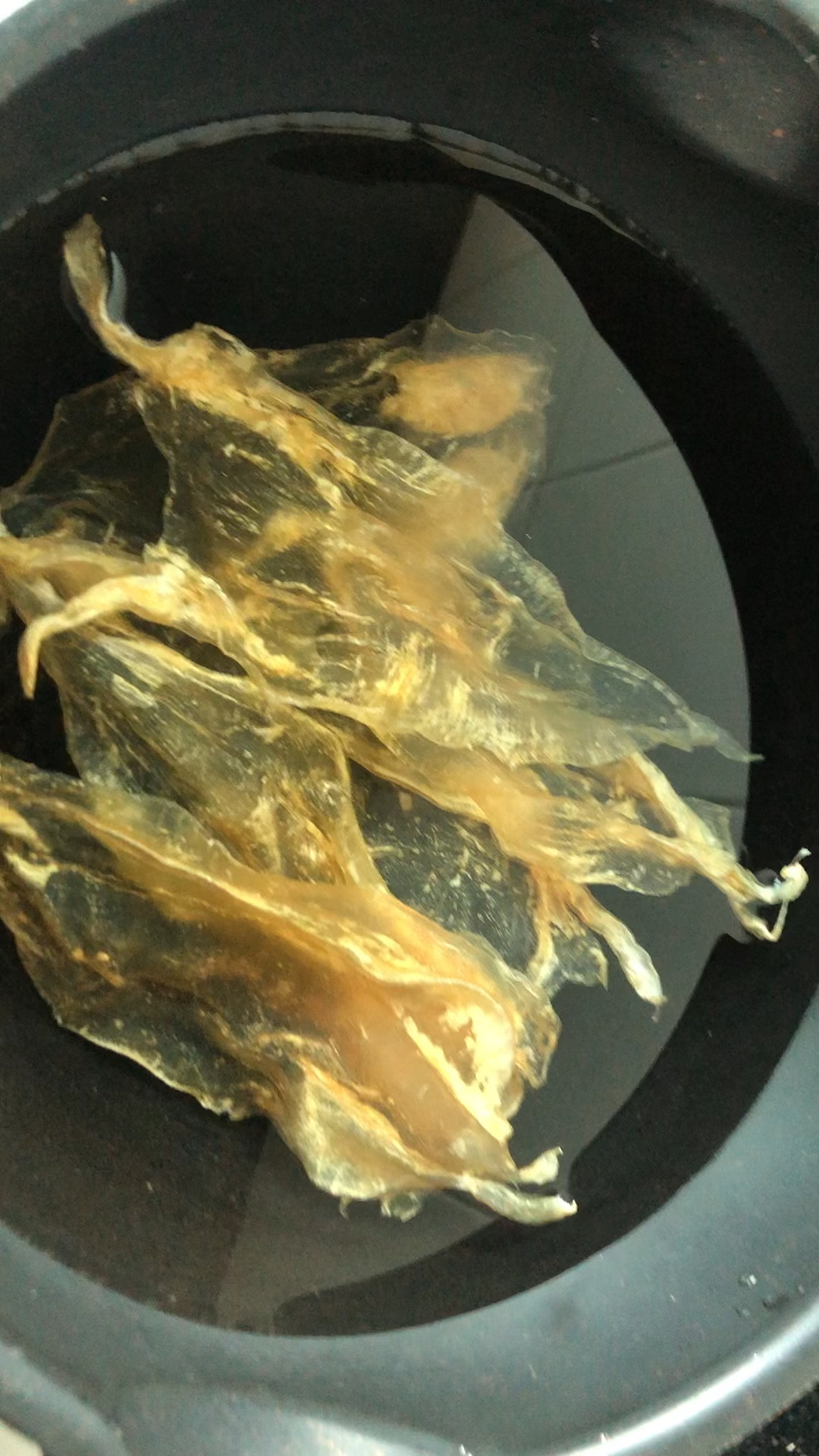 分享最简单的鱼胶泡发方法