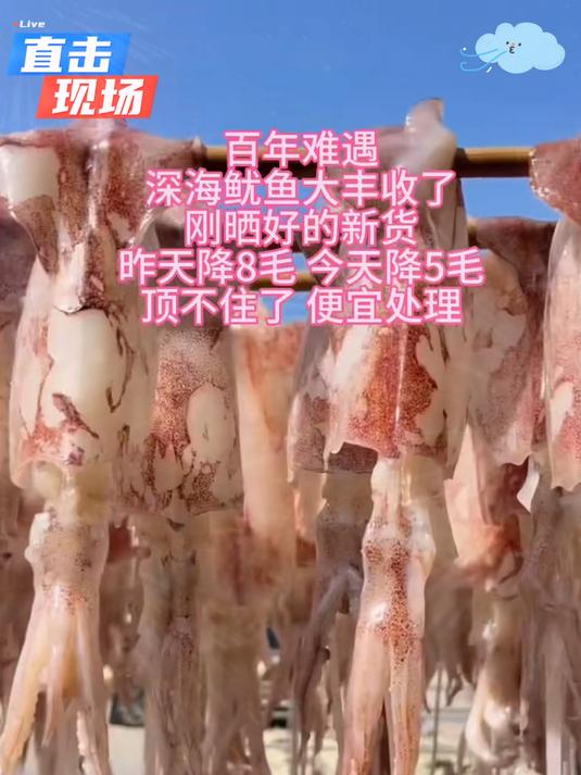 新鲜淡晒淡干鱿鱼干爆炒煲汤营养价值丰富便宜卖老少皆宜！
