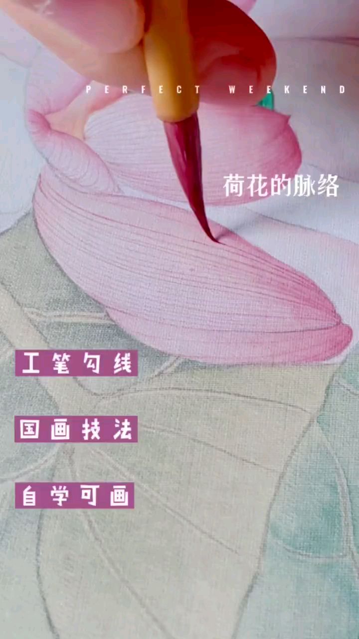 工笔画:工笔荷花的脉络勾线