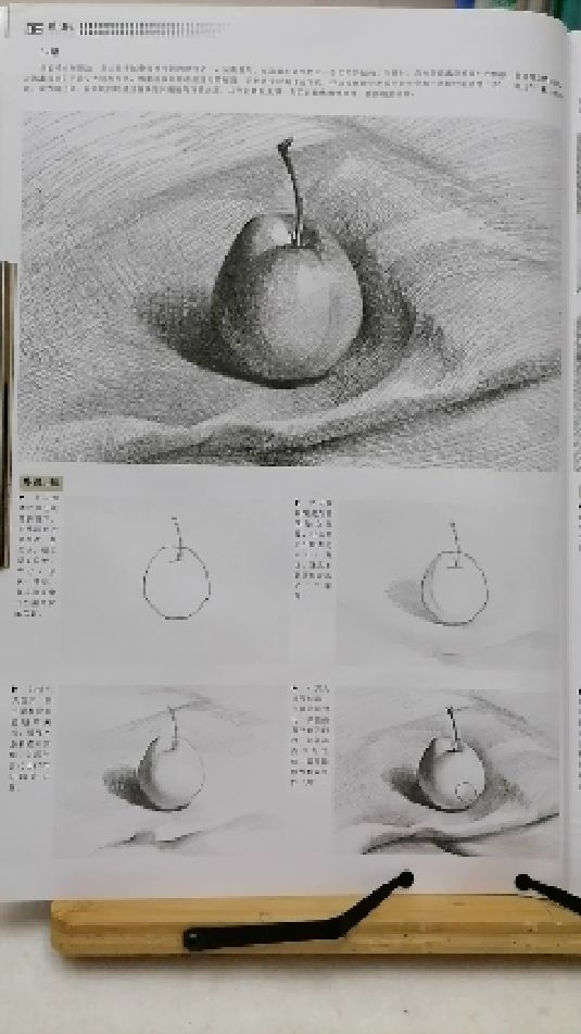 当代国画家徐鹤～美术高考素描静物:梨
