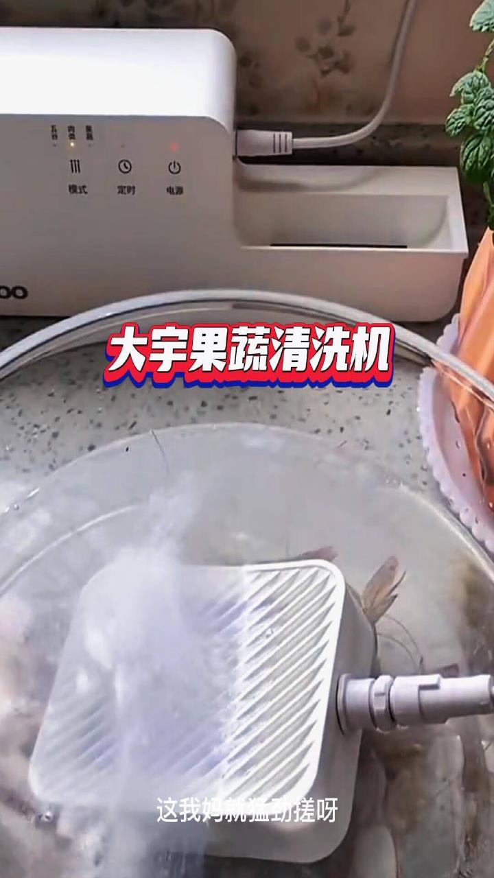 大宇果蔬清洗机全自动蔬菜水果鱼肉虾净食机食材净化机
