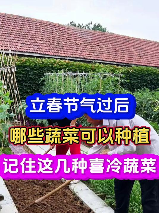 立春节气之后哪些蔬菜可以种植了记住这几种