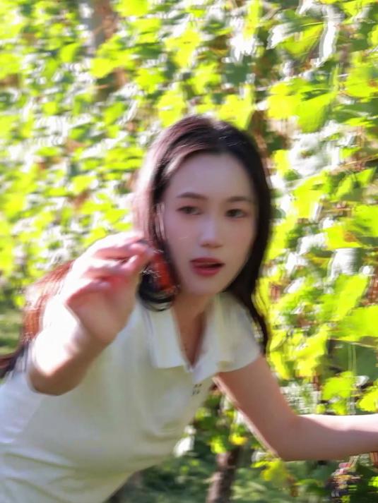 婉儿在葡萄酒庄园