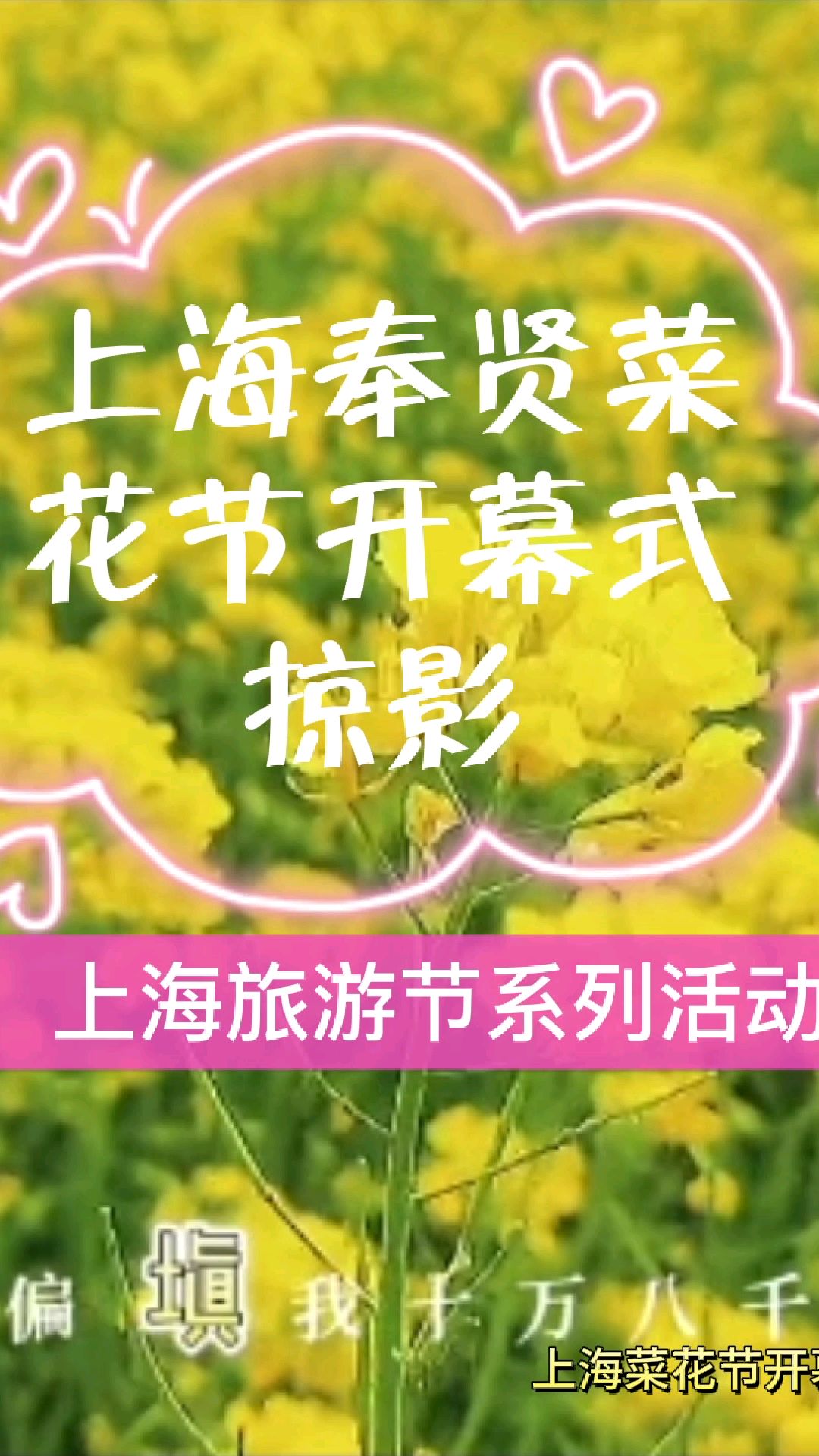 上海菜花节开幕式掠影|节目主持人王国权