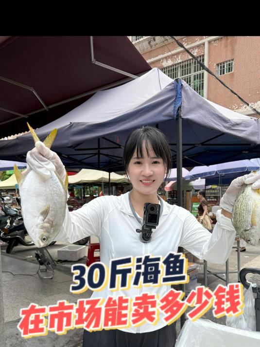 30斤海鱼,在市场能卖多少钱