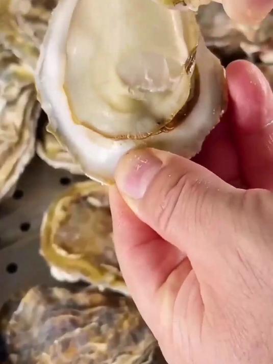 夜宵天花板！乳山生蚝鲜嫩弹牙，配啤酒越吃越香