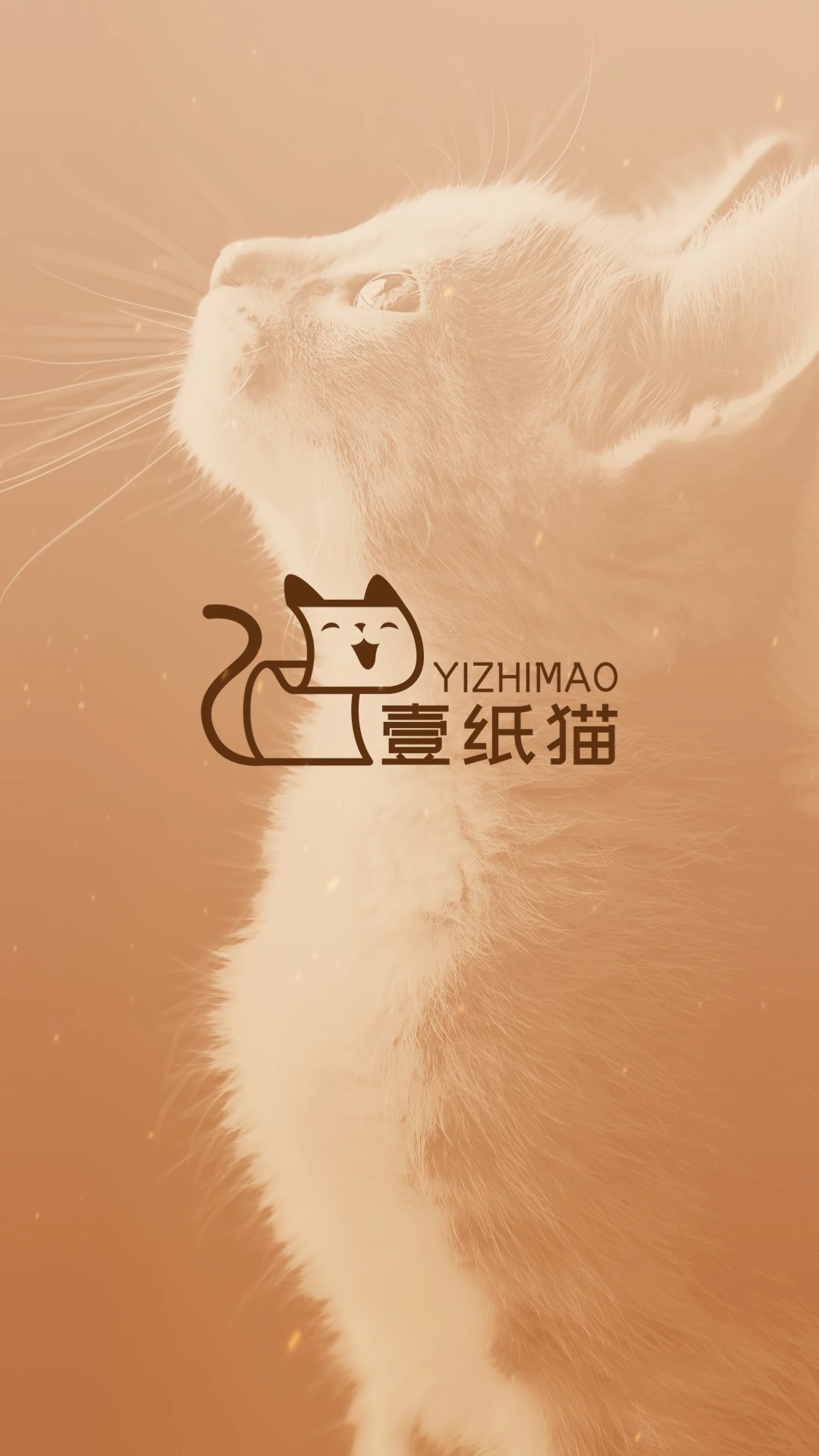 一张普通的纸怎么和猫融合设计成LOGO呢
