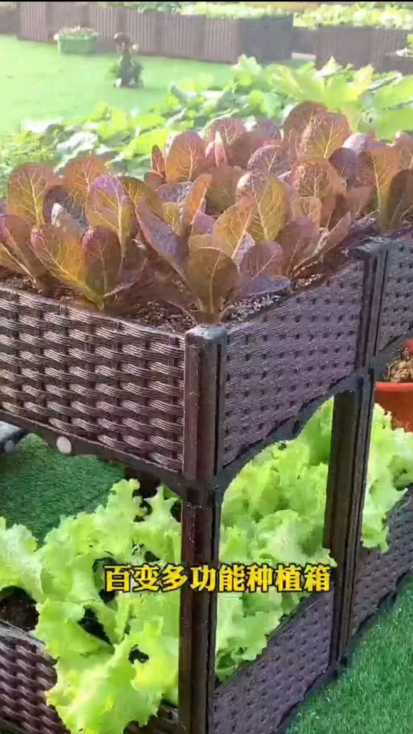百变种植箱安装方法,适合各种场景,种花种菜很方便