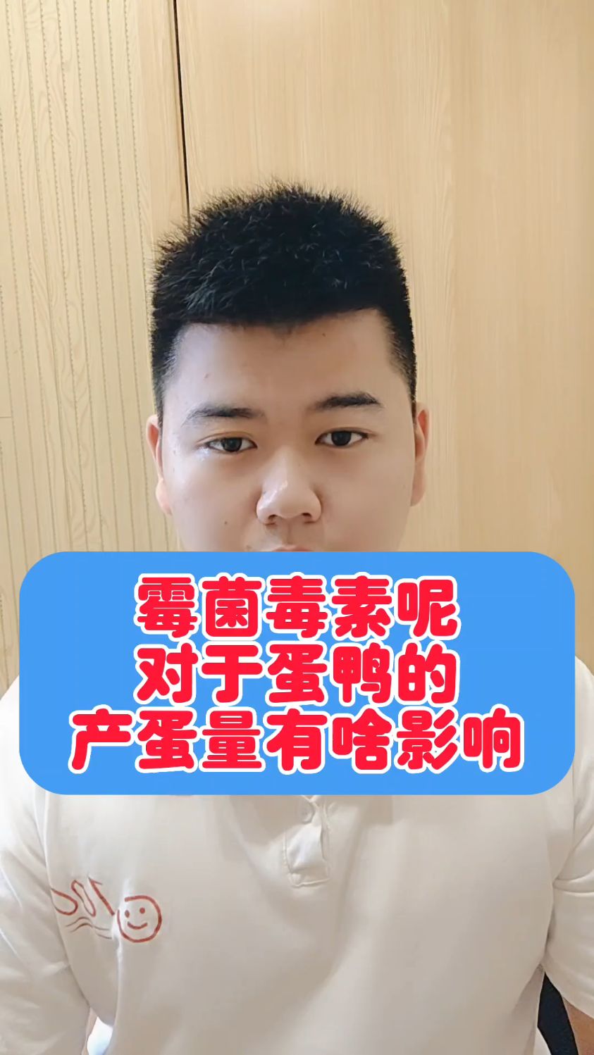 #鸭曲霉菌感染的症状蛋鸭霉菌感染是什么原因蛋鸭霉菌毒素中毒症状