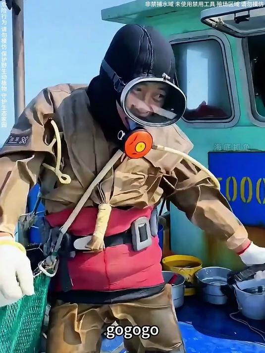 渔民下潜30米,今天收获的有龙虾,螃蟹,螳螂虾,海参,海螺等看看能赚多少钱?