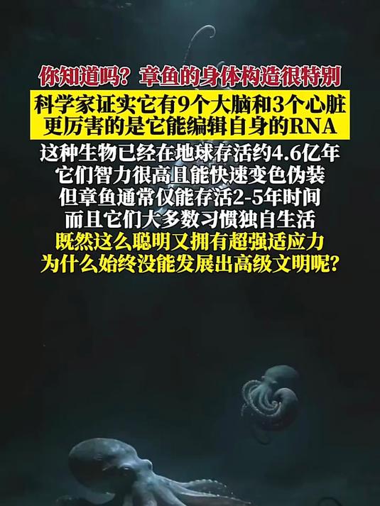 你知道吗?章鱼的身体构造很特别