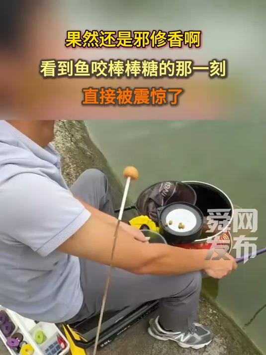 果然还是邪修香啊,看到鱼咬棒棒糖的那一刻,直接被震惊了