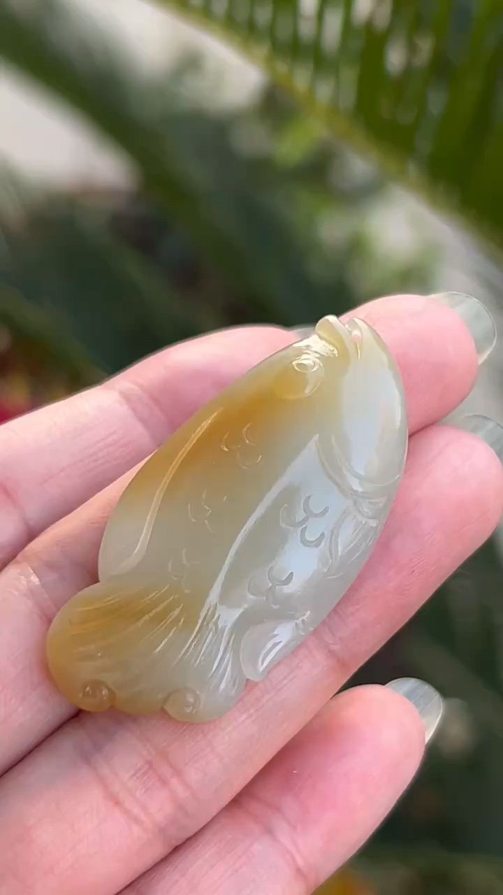 鱼鱼鱼年年有鱼福满天