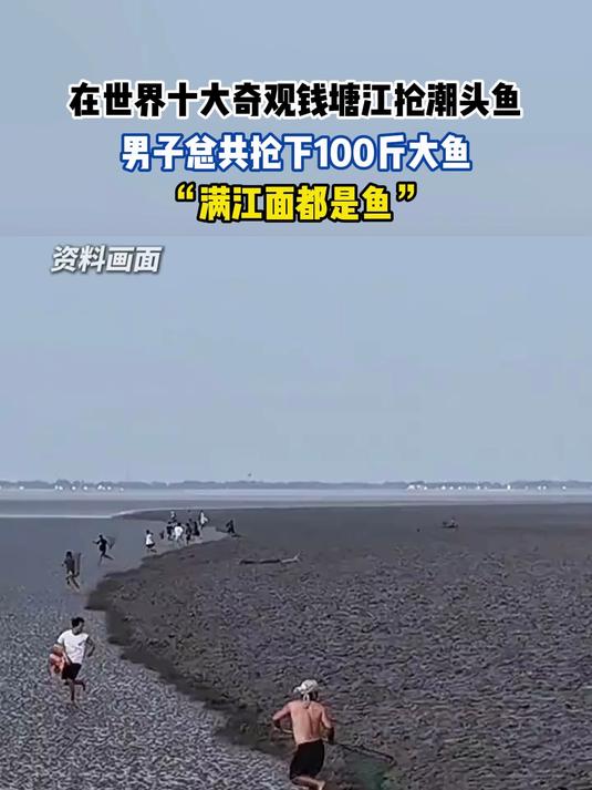 在世界十大奇观钱塘江抢潮头鱼,男子总共抢下100斤大鱼