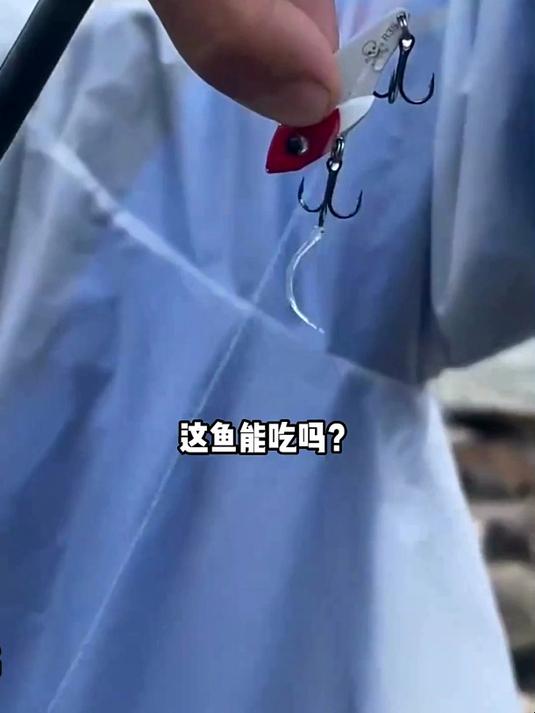 这些鱼有你吃过的吗？