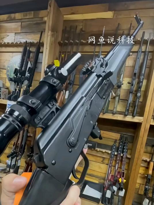 大鹅的精准步枪,看看,是不是很少有人认识呢?