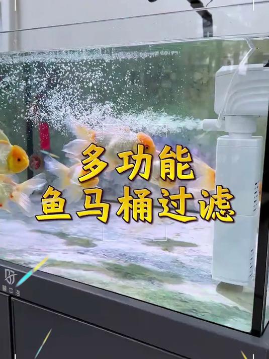 鱼缸过滤器过滤循环水泵制氧一体机净水三合一氧气泵小型超静音小
