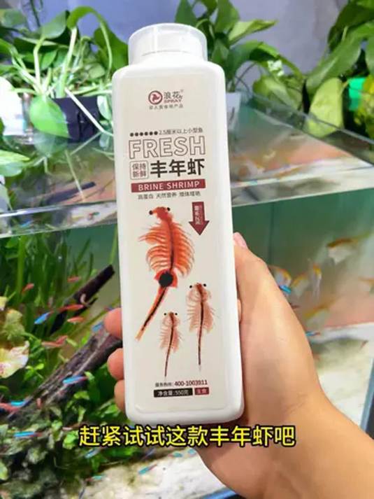 小鱼吃啥长壮?丰年虾成高蛋白鱼食首选!