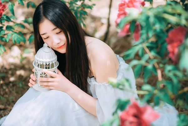 图片[5]-浮华繁花-六色网