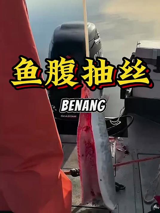解压感拉满！从鱼腹抽出的神秘“白绳”，竟然是它的脊髓？