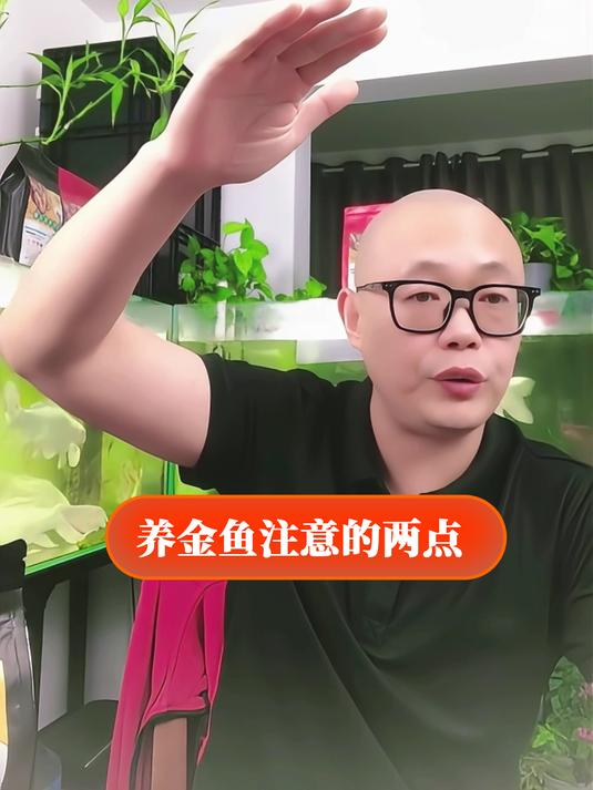养金鱼注意的两点