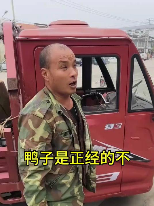 鸭子是正经的不,小资女人服装店