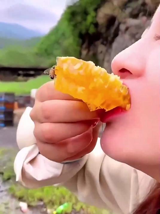 剖析土蜂蜜营养,源自山野的滋补精华