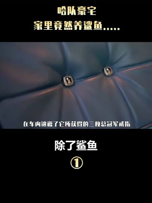 #这夏就出发#探秘NBA球星哈斯勒姆豪宅，客厅竟然养鲨鱼，这生活方式太豪横了
