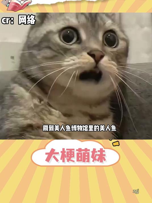闺蜜,没有我你能看见美人鱼吗
