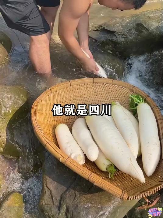萝卜干麻辣鲜香入口香醇要想吃到值柏尖看看