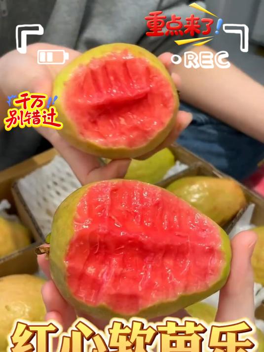 口感像奶油冰激凌的红心软芭乐!软糯香甜!