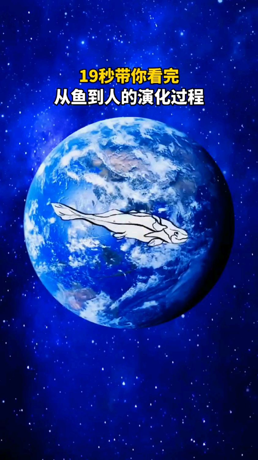 你敢相信吗?人类竟然是鱼进化而来的,这个过程耗时约5亿年!