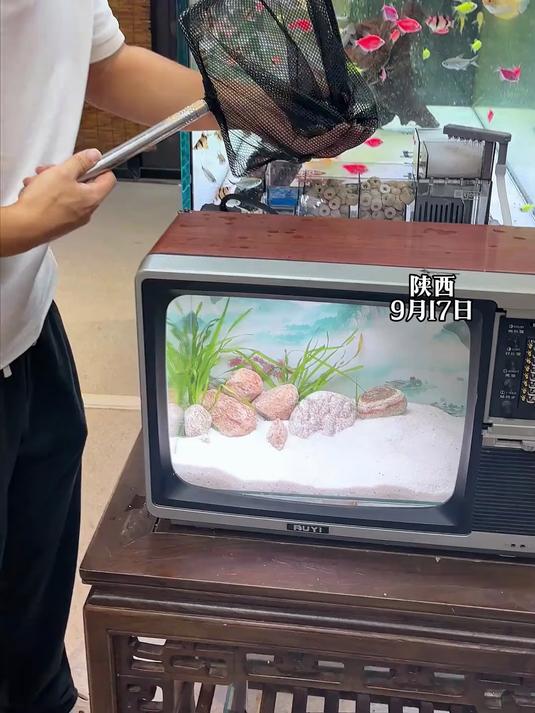 男子看朋友用老式电视机做鱼缸,没想到这鱼缸别有一番风味