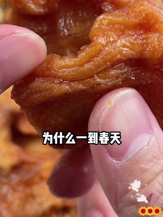 这个东西别说吃过了很多人见都没见过吧 苹果干