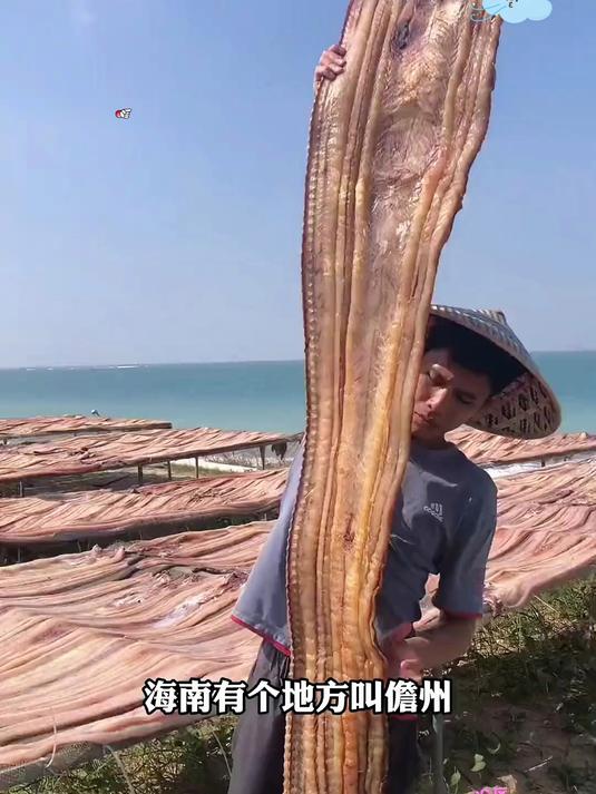 都是鳗鱼干味道却差别很大。你们更喜欢吃哪一种