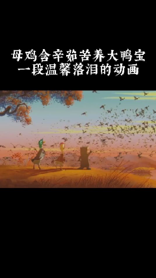 母鸡含辛茹苦养大鸭宝,一段温馨落泪的动画