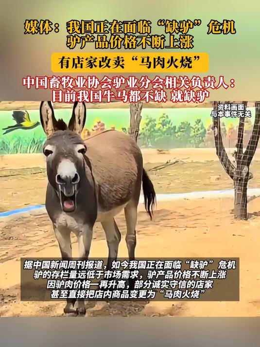 媒体:我国正在面临“缺驴”危机!驴产品价格不断上涨!