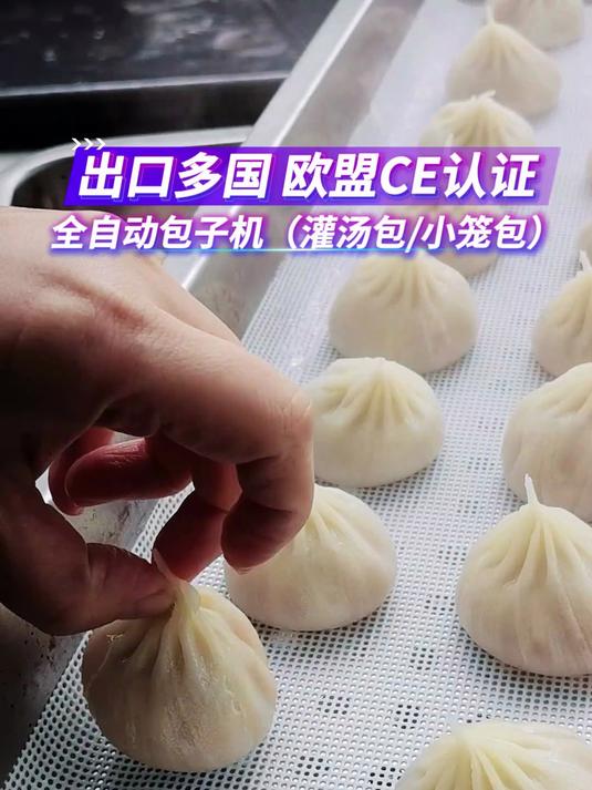 出口多国,欧盟CE,全自动包子机灌汤包小笼包